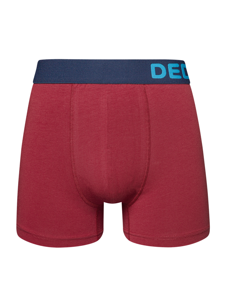 Boxer bordeaux