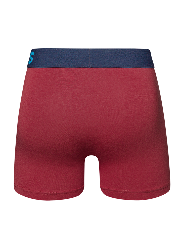 Boxer bordeaux