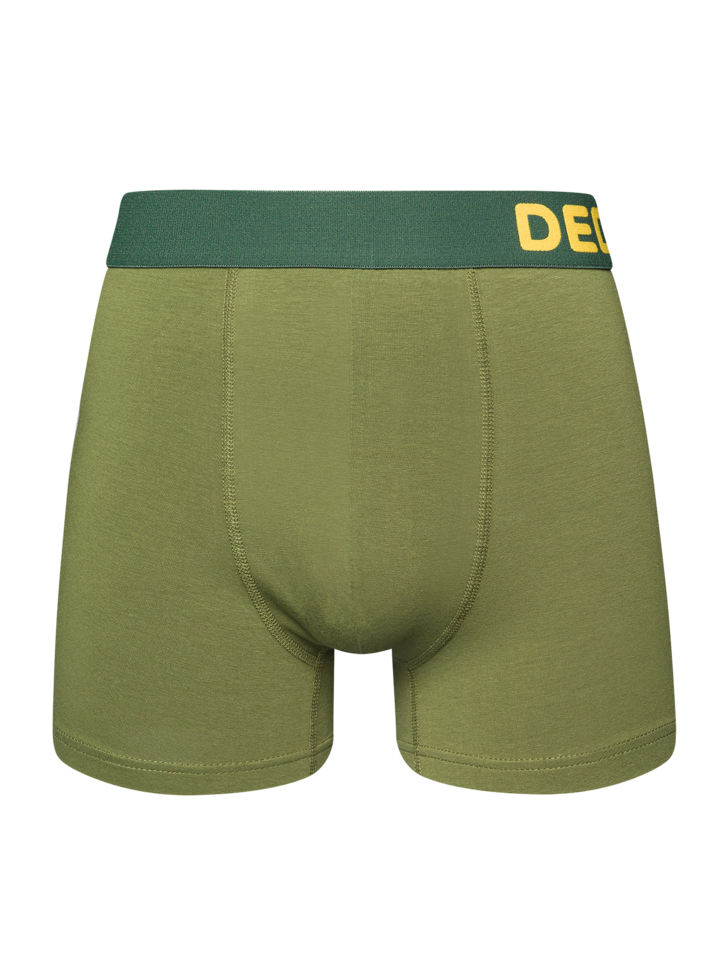 Boxer vert forêt