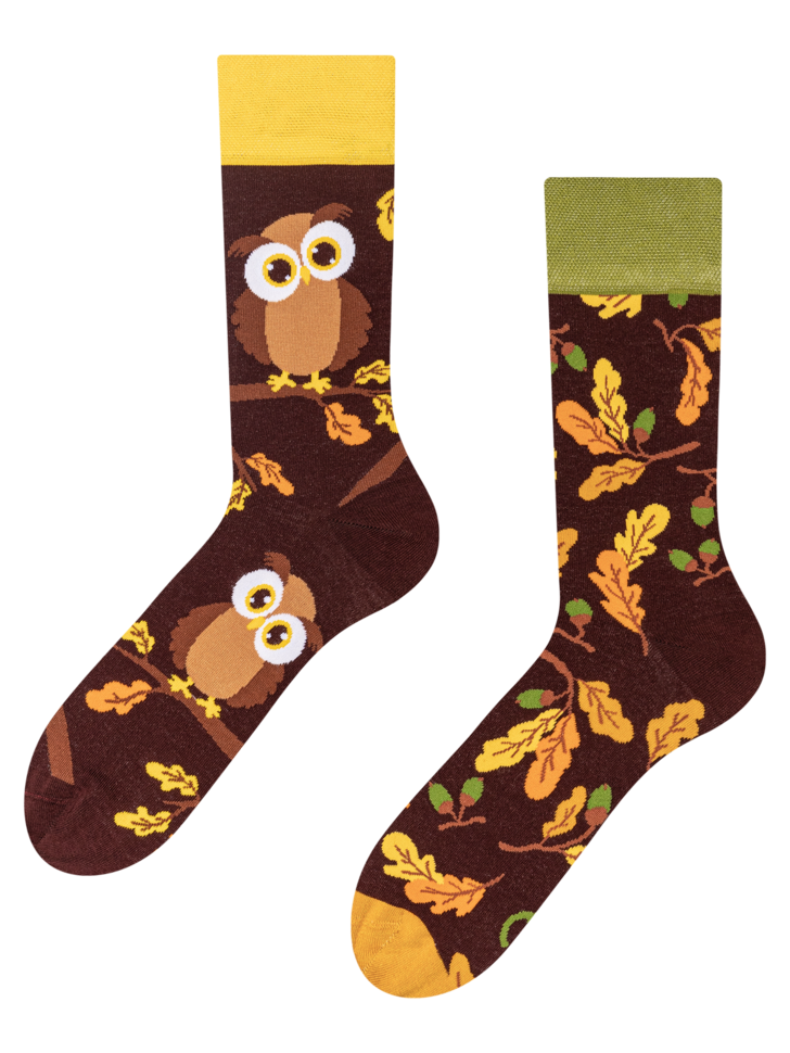 Chaussettes Hibou curieux