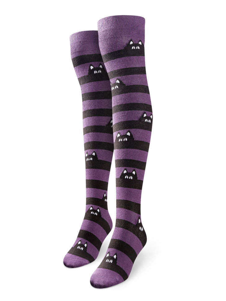 Chaussettes au-dessus des genoux Chats cachés