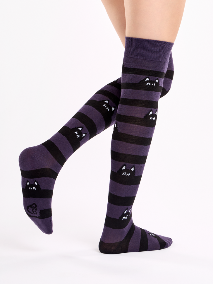 Chaussettes au-dessus des genoux Chats cachés