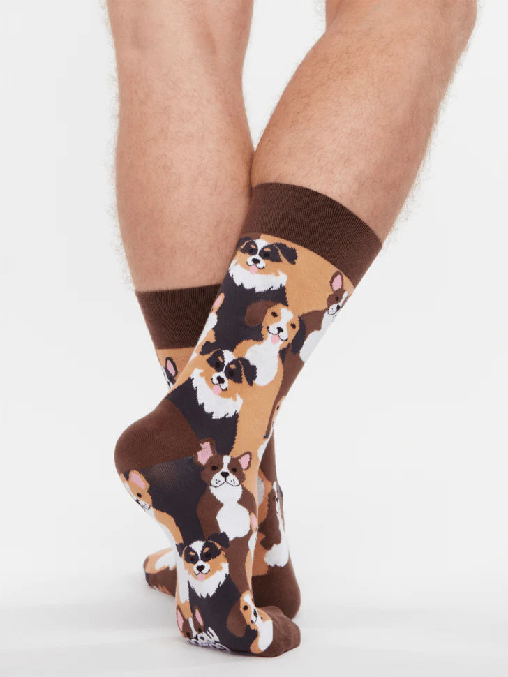 Chaussettes Toutous