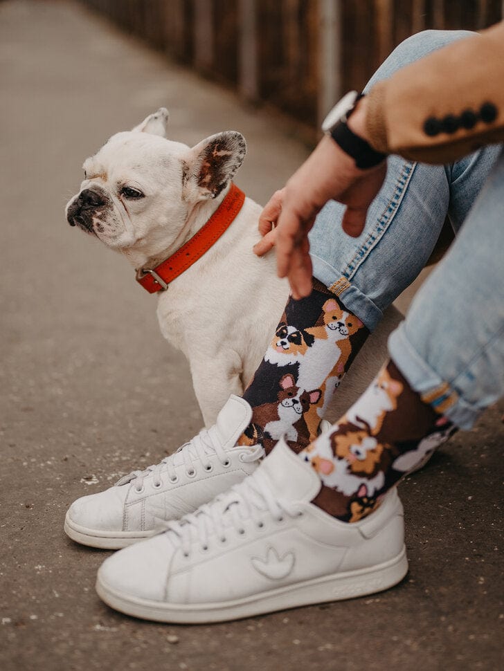 Chaussettes Toutous