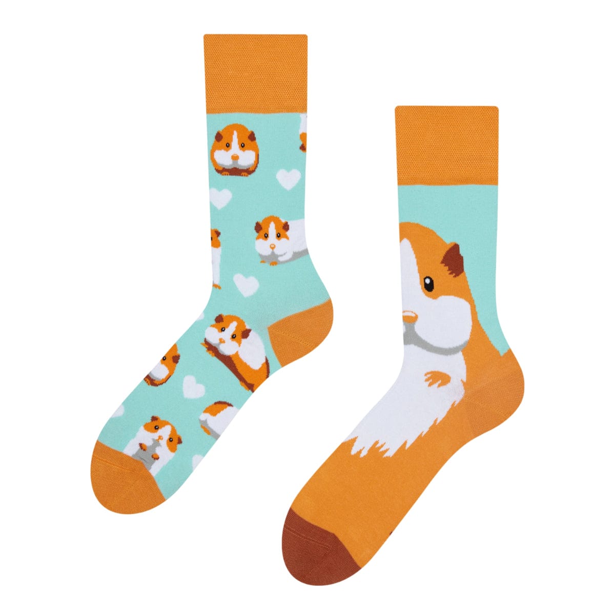 Le Bar a Chaussettes - Chaussettes Cochon d’Inde