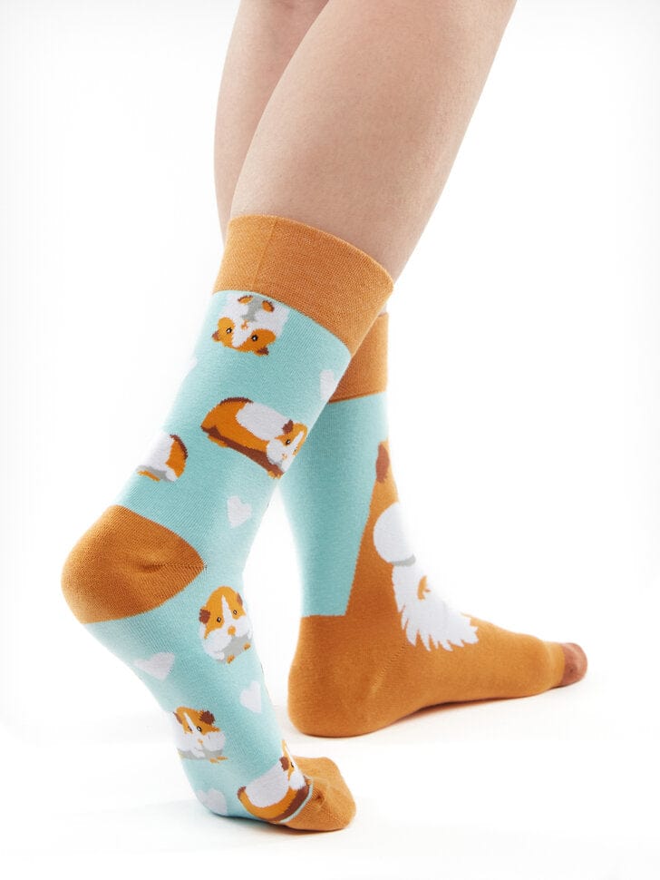 Le Bar a Chaussettes - Chaussettes Cochon d’Inde
