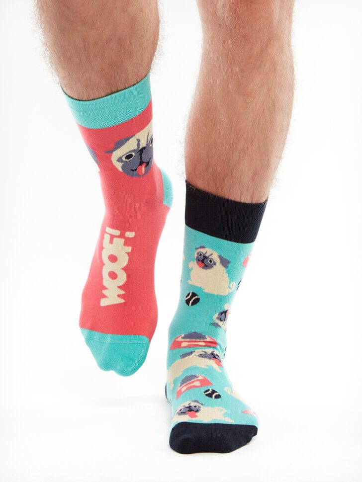 Le Bar a Chaussettes - Chaussettes Le Chien Carlin