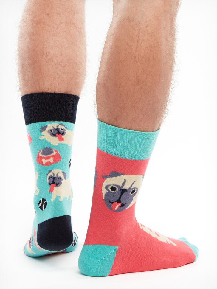 Le Bar a Chaussettes - Chaussettes Le Chien Carlin
