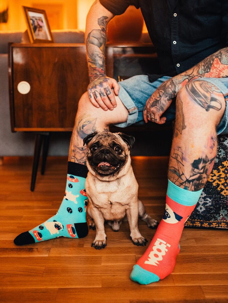 Le Bar a Chaussettes - Chaussettes Le Chien Carlin