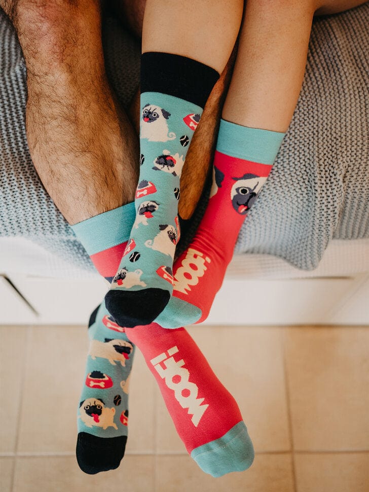 Le Bar a Chaussettes - Chaussettes Le Chien Carlin
