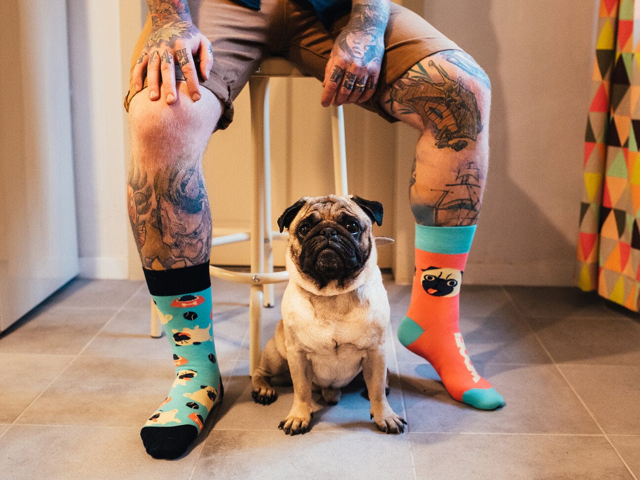 Le Bar a Chaussettes - Chaussettes Le Chien Carlin