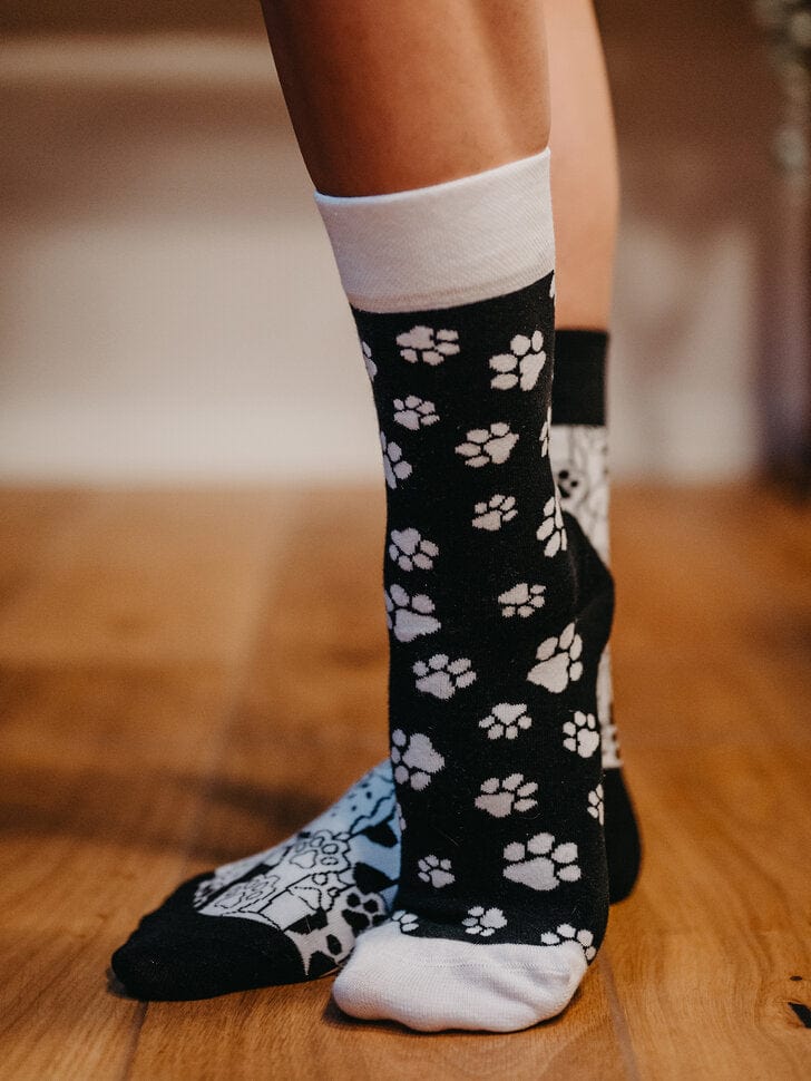 Le Bar a Chaussettes - Chaussettes Pattes de Chats