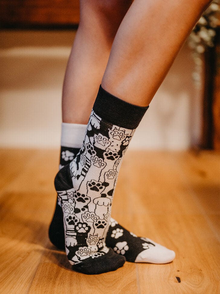 Le Bar a Chaussettes - Chaussettes Pattes de Chats