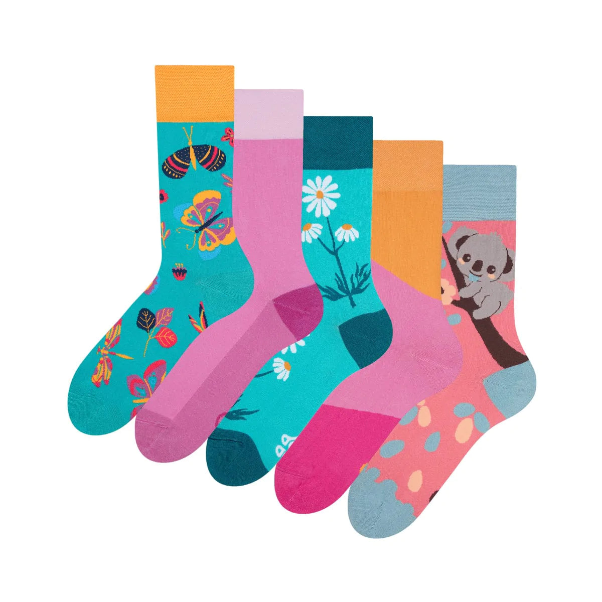 Lot de 5 paires de chaussettes Enchantement
