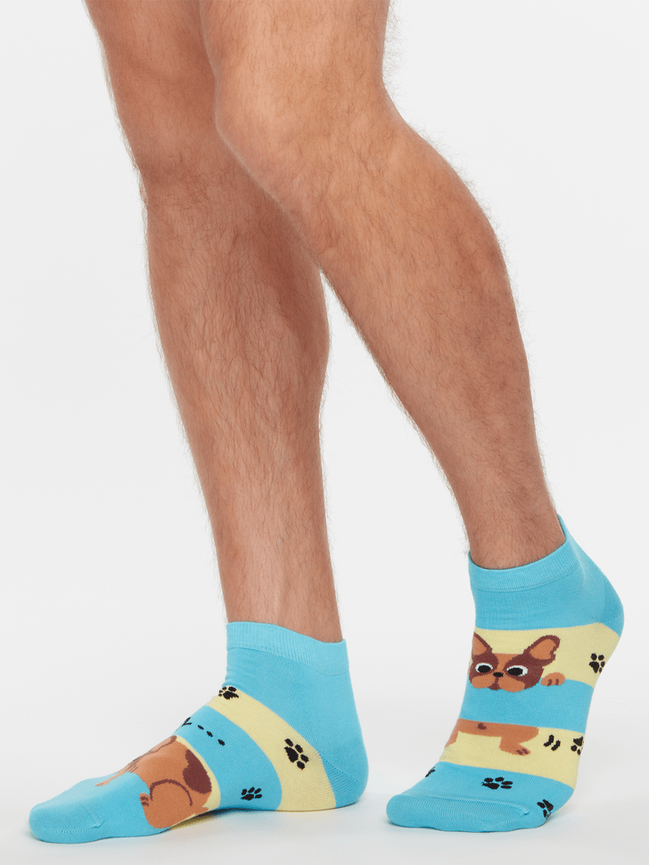 Le Bar a Chaussettes - Socquettes Chiens et Rayures