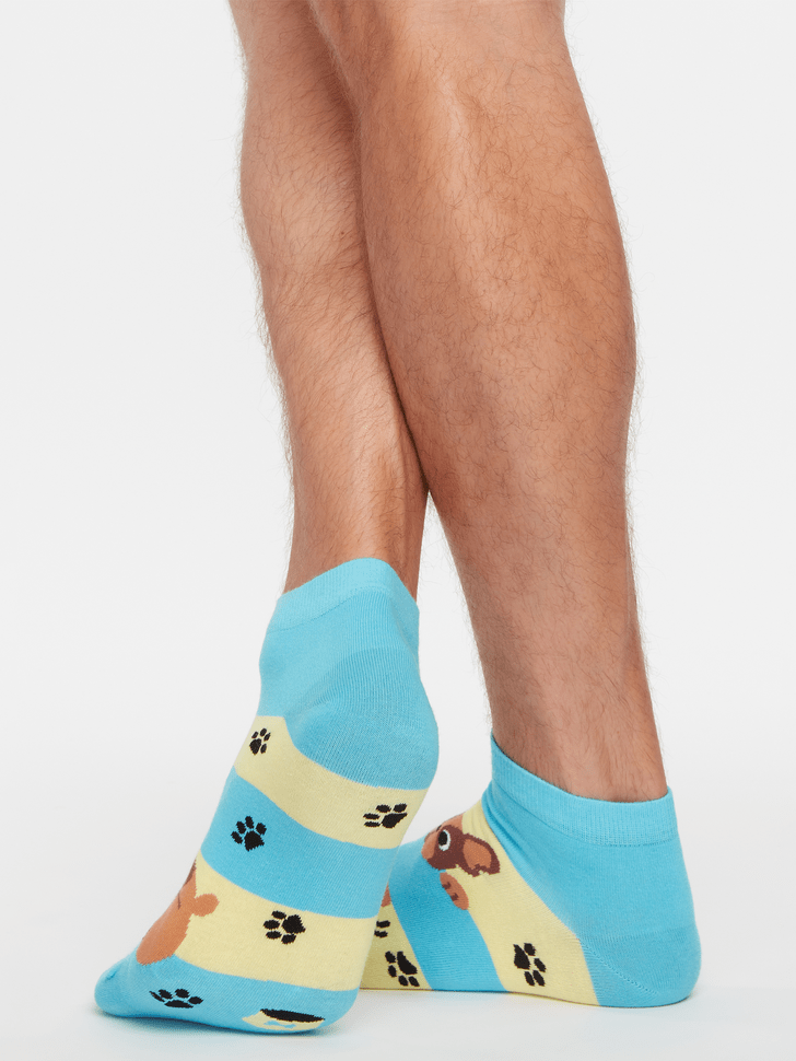Le Bar a Chaussettes - Socquettes Chiens et Rayures